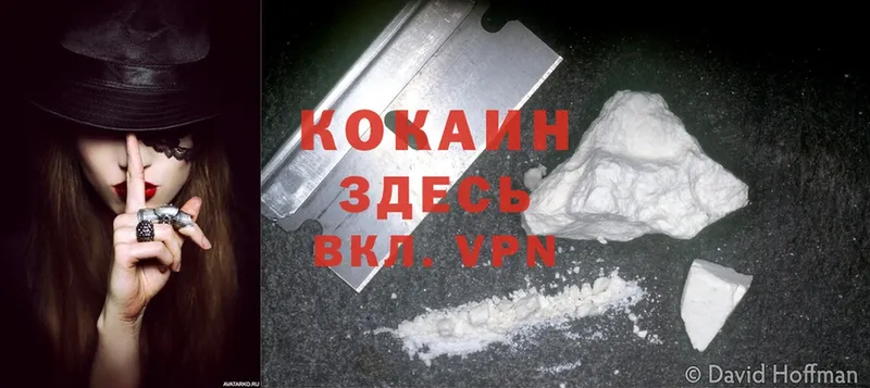 Cocaine Эквадор  гидра как войти  Белоозёрский 